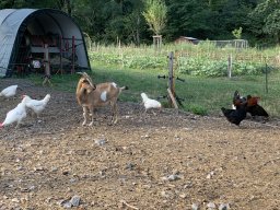 image1289